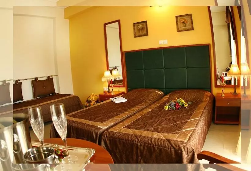 Fotos del hotel Ionis Art:  10