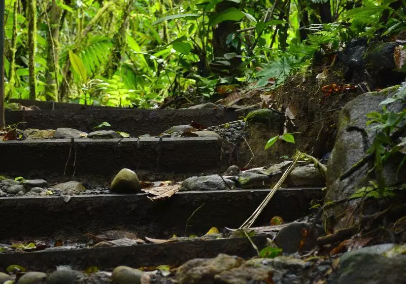 Fotos del hotel Rio Celeste Hideaway:  9