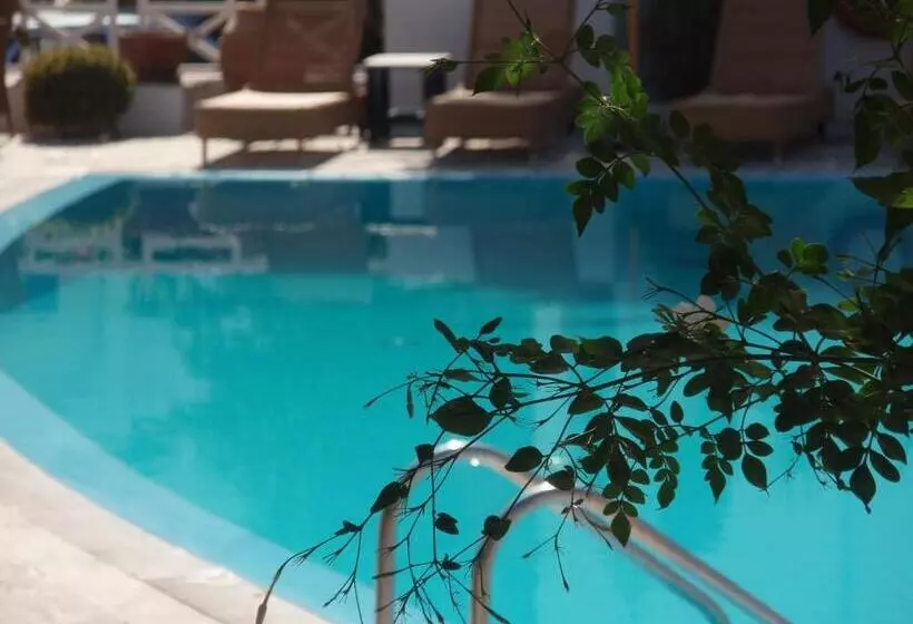 Fotos del hotel Matina:  3