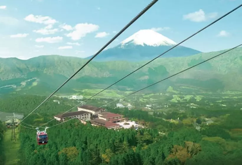 Fotos del hotel Green Plaza Hakone:  6