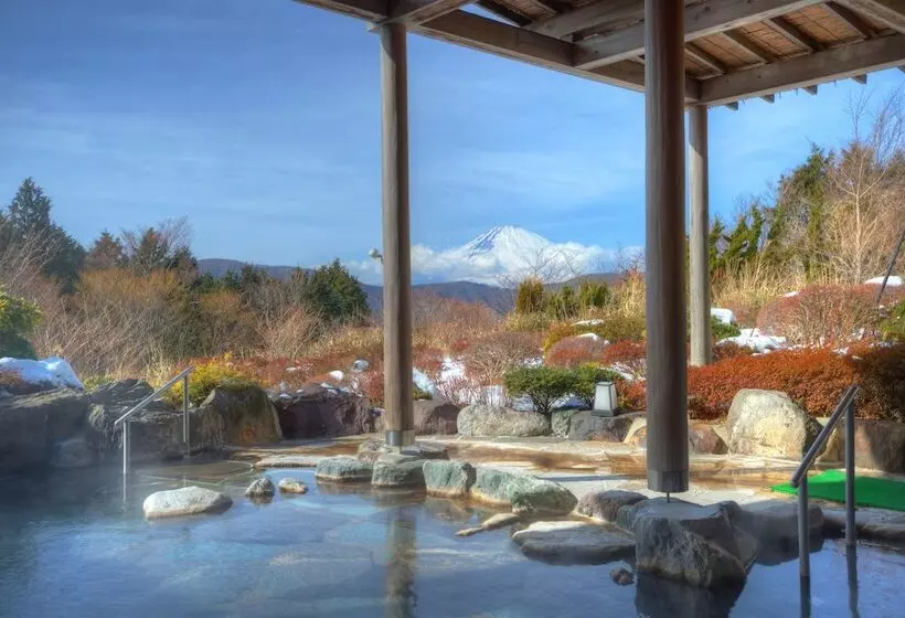 Fotos del hotel Green Plaza Hakone:  9