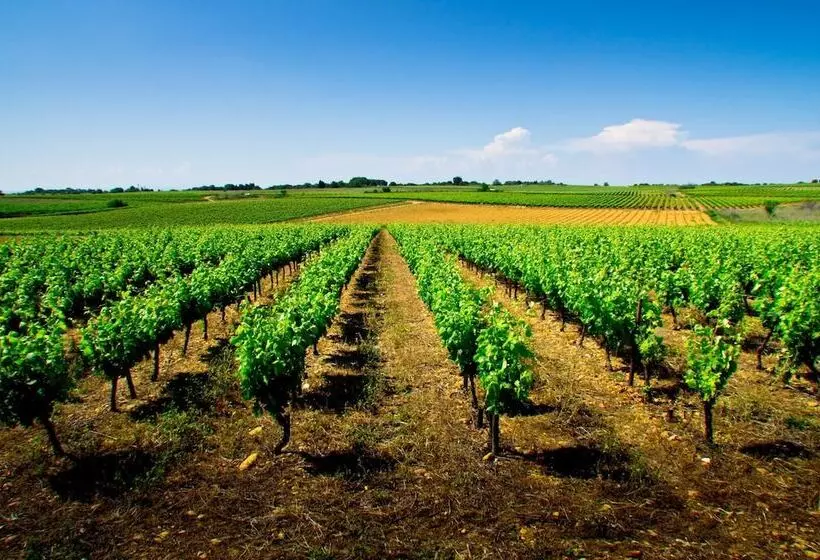 Fotos del hotel Holiday Inn Express Montpellier - Odysseum, An Ihg:  18