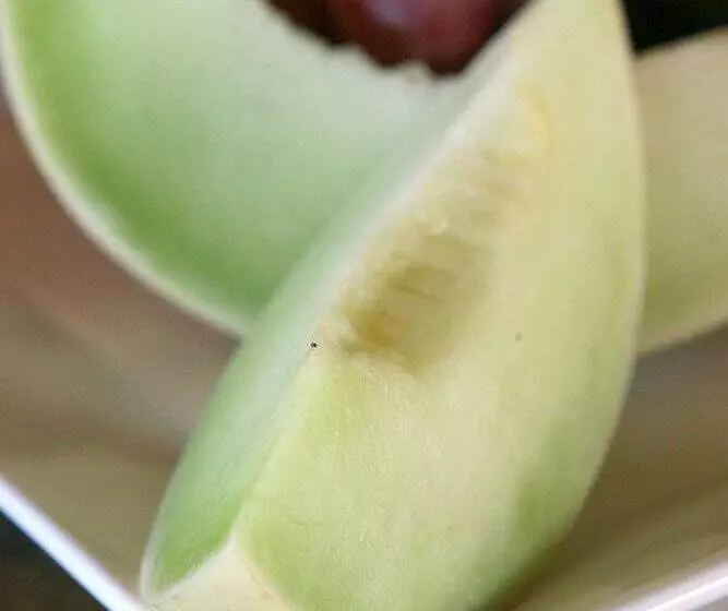 Fotos del hotel Pumba Private Game Reserve:  17