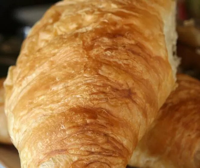 Fotos del hotel Pumba Private Game Reserve:  19