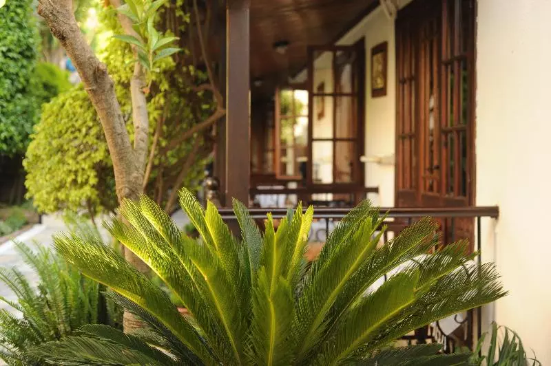 Fotos del hotel Villa Daffodil:  11