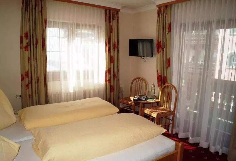 Fotos del hotel Hotel Wechselberger:  4