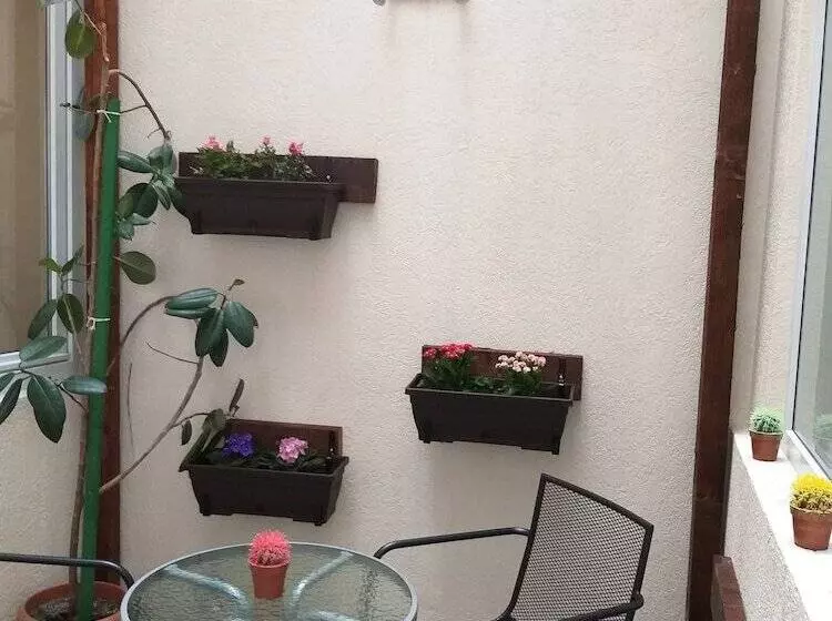 Fotos del hotel Tranzzit:  18