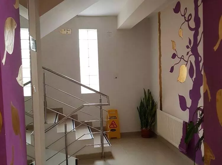 Fotos del hotel Tranzzit:  6