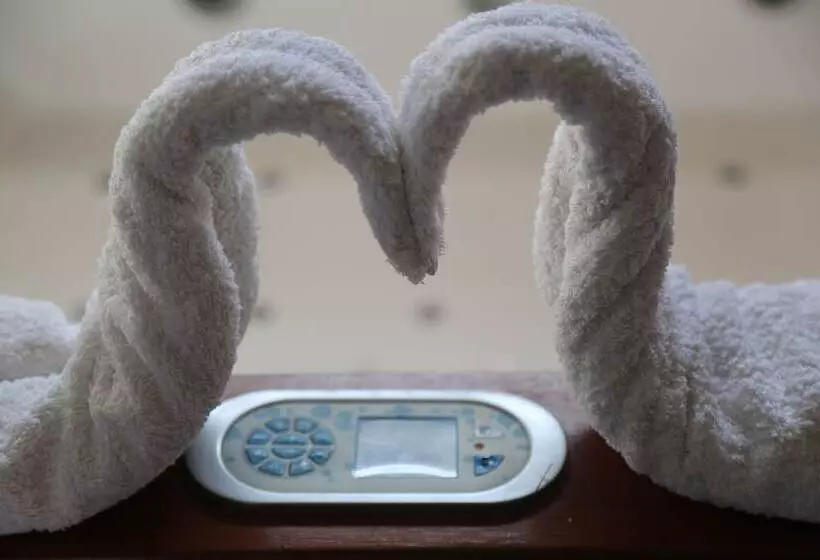 Fotos del hotel Bhoomi Residency:  7