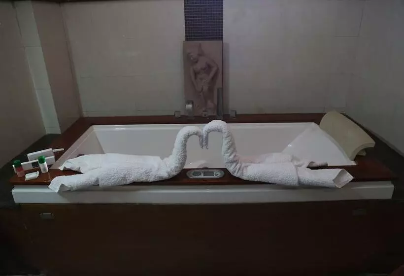 Fotos del hotel Bhoomi Residency:  4