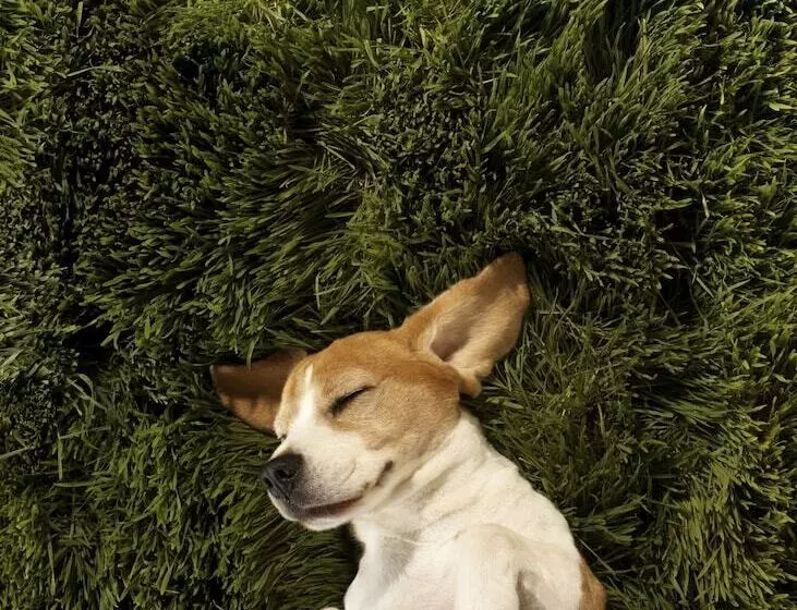 Fotos del hotel Element By Westin Miami International Airport:  9