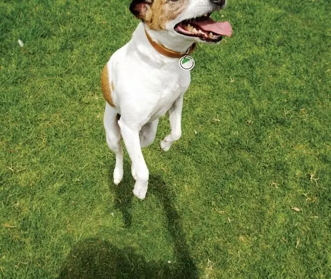 Fotos del hotel Element By Westin Miami International Airport:  16