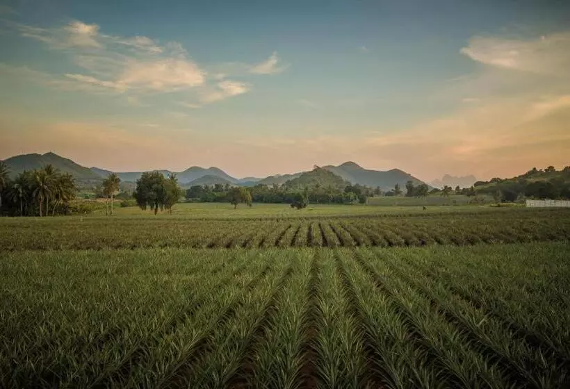 Fotos del hotel Pa Prai Villa At The Plantation:  18