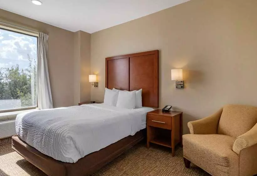 Fotos del hotel Comfort Suites Near Texas Medical Center  Nrg Stadium:  19