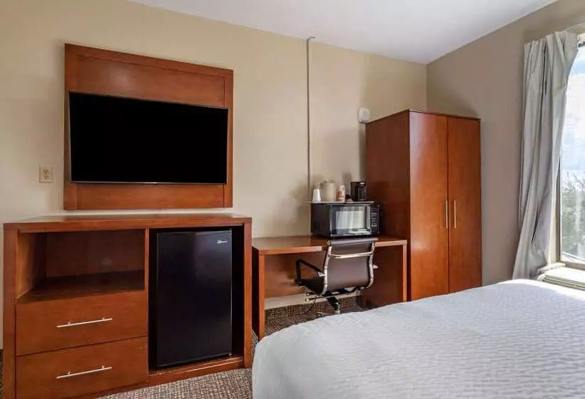 Fotos del hotel Comfort Suites Near Texas Medical Center  Nrg Stadium:  18
