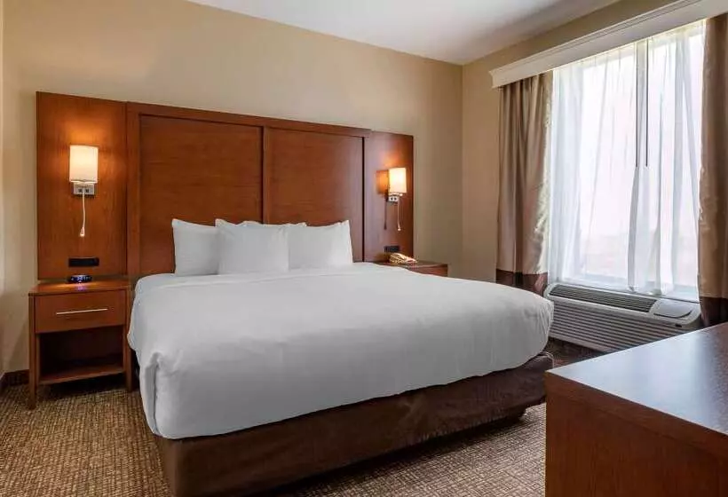 Fotos del hotel Comfort Suites Near Texas Medical Center  Nrg Stadium:  17