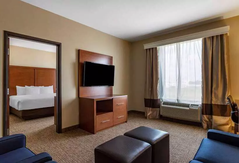 Fotos del hotel Comfort Suites Near Texas Medical Center  Nrg Stadium:  12