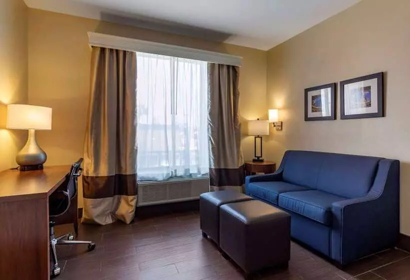 Fotos del hotel Comfort Suites Near Texas Medical Center  Nrg Stadium:  14