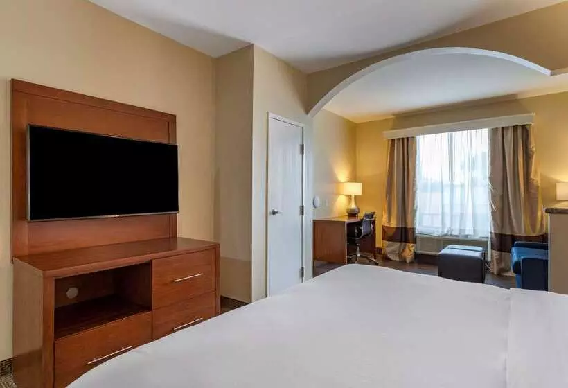 Fotos del hotel Comfort Suites Near Texas Medical Center  Nrg Stadium:  13