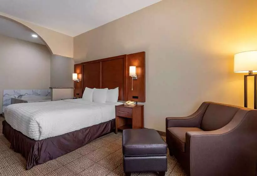 Fotos del hotel Comfort Suites Near Texas Medical Center  Nrg Stadium:  15