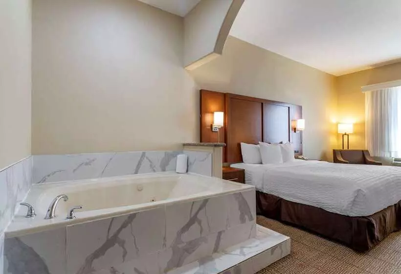 Fotos del hotel Comfort Suites Near Texas Medical Center  Nrg Stadium:  25