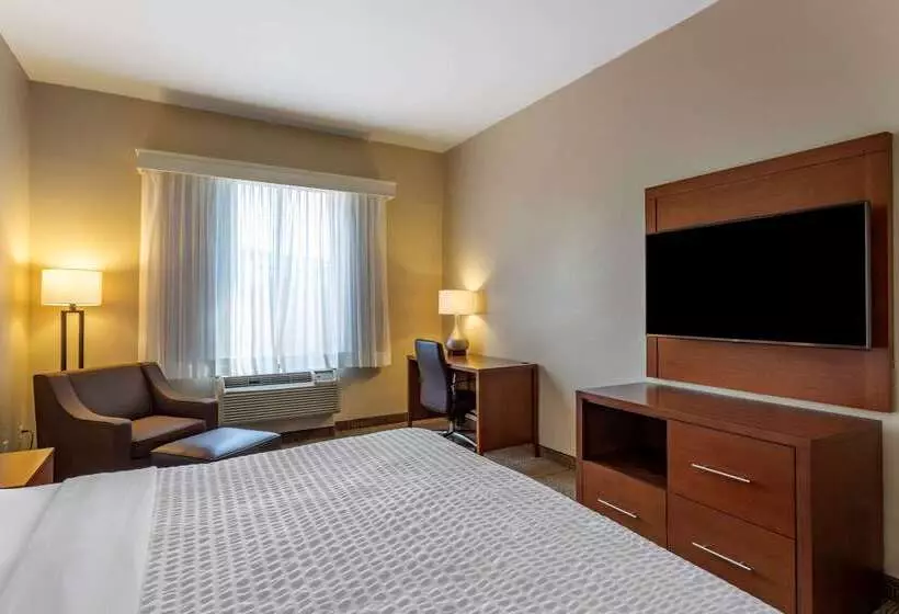 Fotos del hotel Comfort Suites Near Texas Medical Center  Nrg Stadium:  10