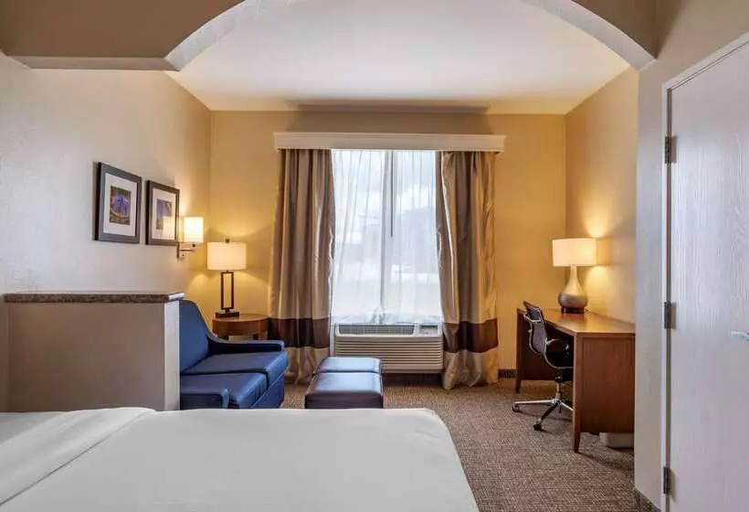 Comfort Suites Near Texas Medical Center  Nrg Stadium