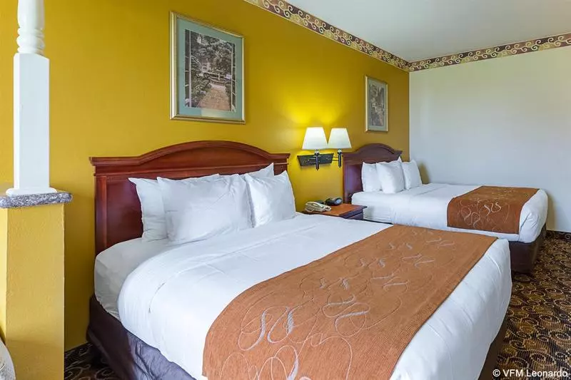 Fotos del hotel Comfort Suites Near Texas Medical Center  Nrg Stadium:  3