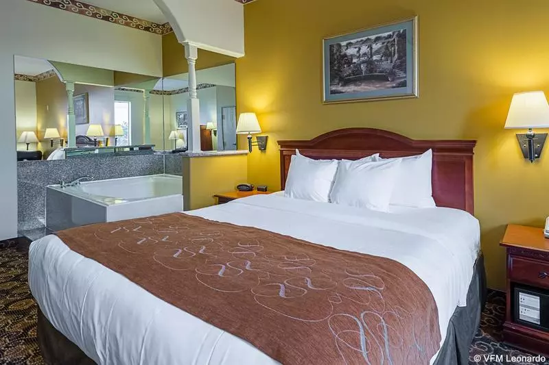 Fotos del hotel Comfort Suites Near Texas Medical Center  Nrg Stadium:  24