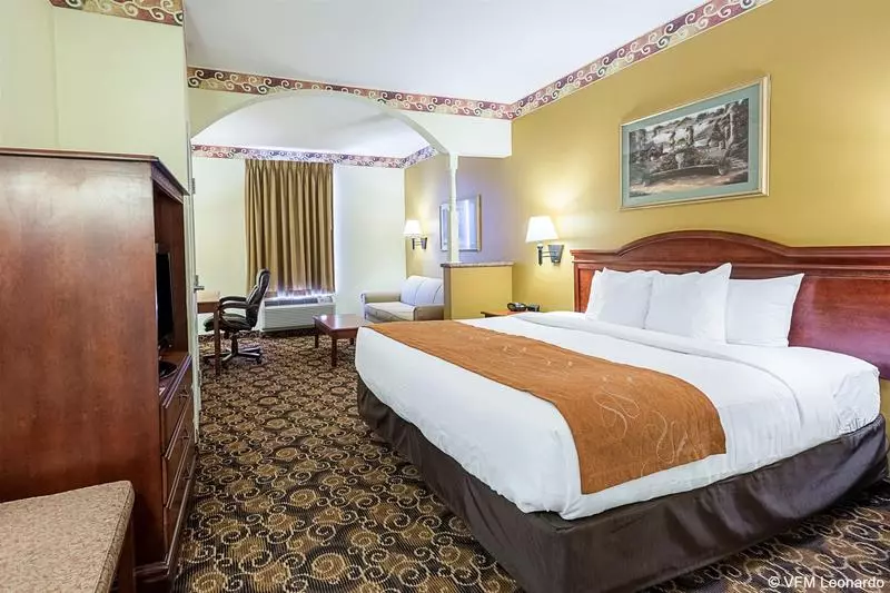 Fotos del hotel Comfort Suites Near Texas Medical Center  Nrg Stadium:  7