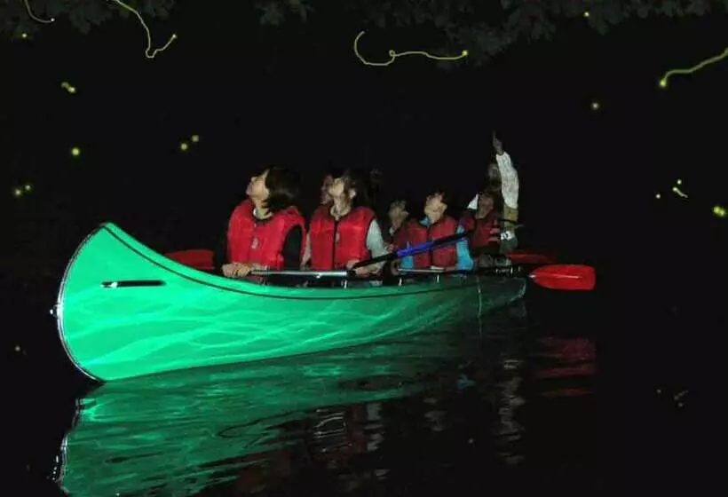 Fotos del hotel Hakuba Mominoki:  5