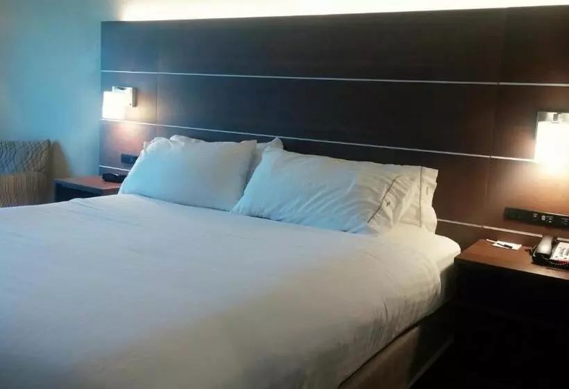 Fotos del hotel Holiday Inn Express & Suites  Miami, An Ihg:  16