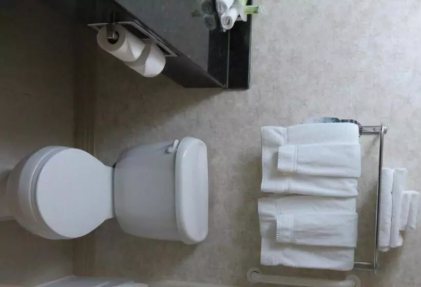 Fotos del hotel Holiday Inn Express & Suites  Miami, An Ihg:  7