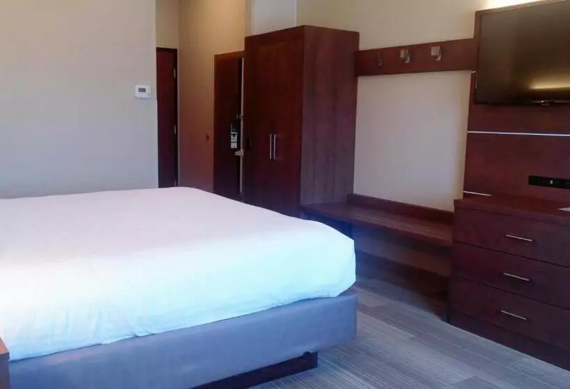 Fotos del hotel Holiday Inn Express & Suites  Miami, An Ihg:  22