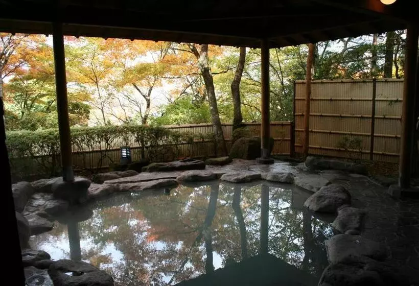 Fotos del hotel Senkyoro:  18