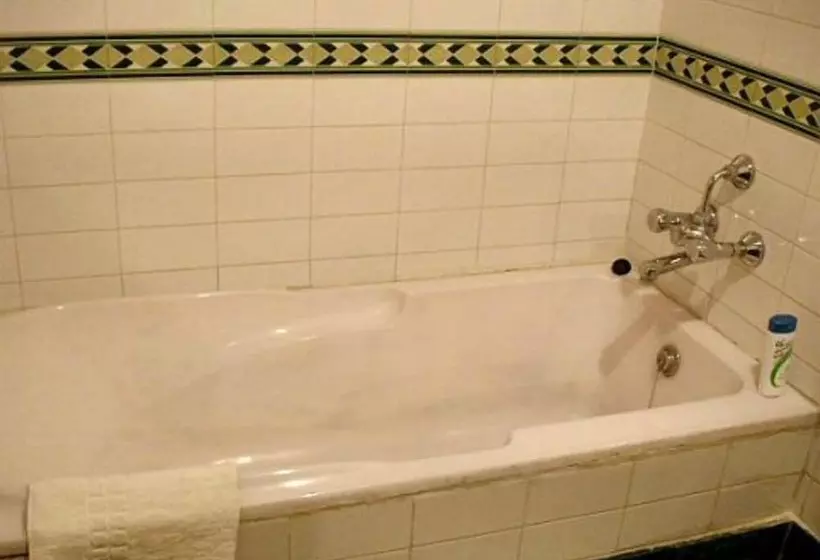 Fotos del hotel Hotel Vaibhav:  12