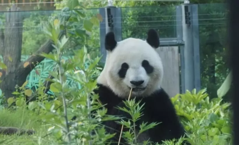 Fotos del hotel Tokyu Stay Shibuya:  8