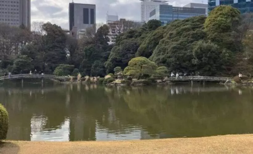 Fotos del hotel Tokyu Stay Shibuya:  13