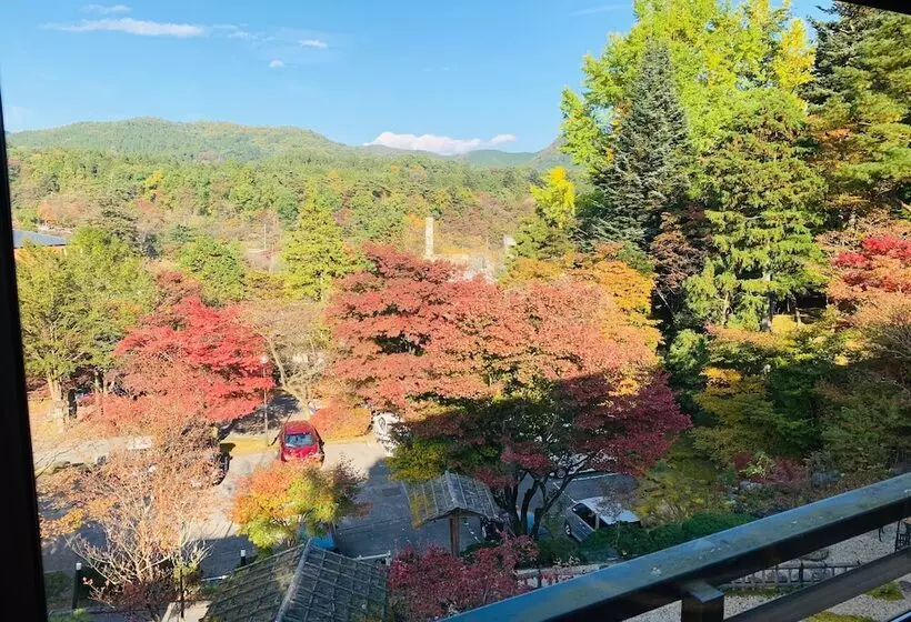 Fotos del hotel Nikko Hoshino Yado:  8