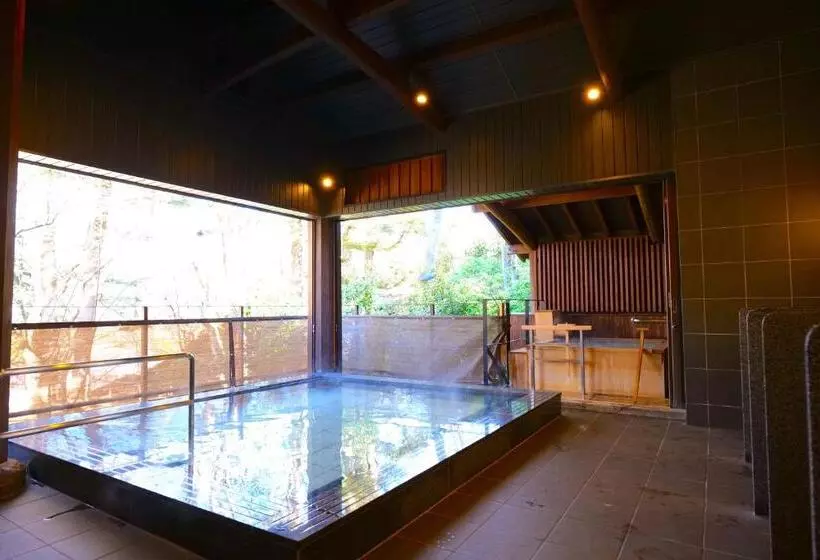 Fotos del hotel Nikko Hoshino Yado:  19