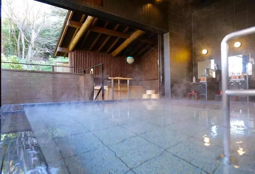 Fotos del hotel Nikko Hoshino Yado:  4