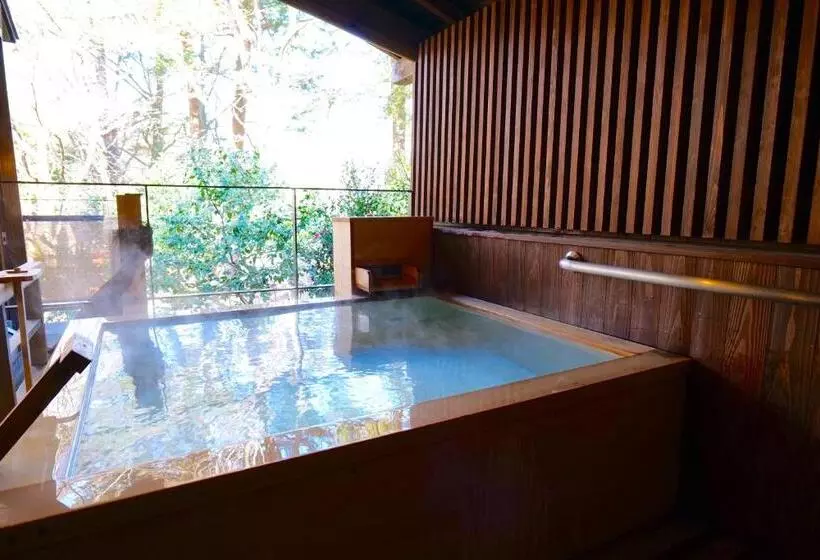 Fotos del hotel Nikko Hoshino Yado:  20