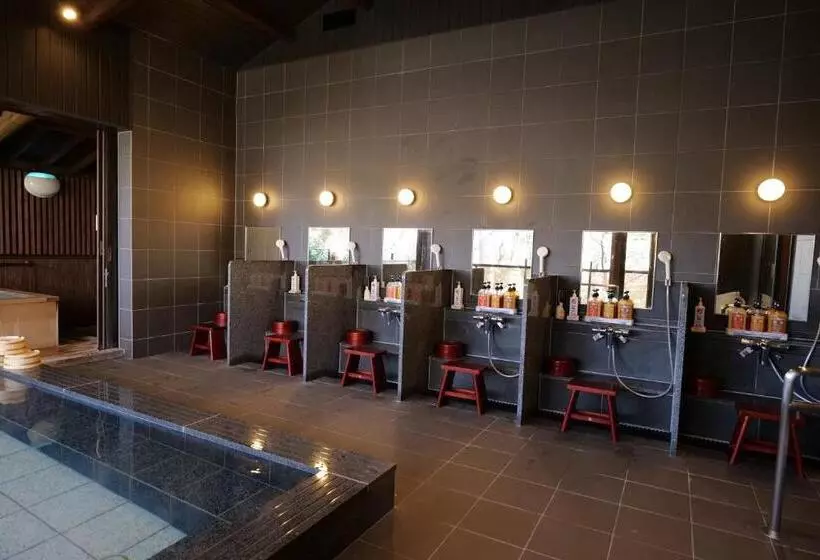 Fotos del hotel Nikko Hoshino Yado:  25