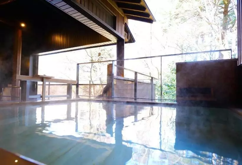 Fotos del hotel Nikko Hoshino Yado:  9