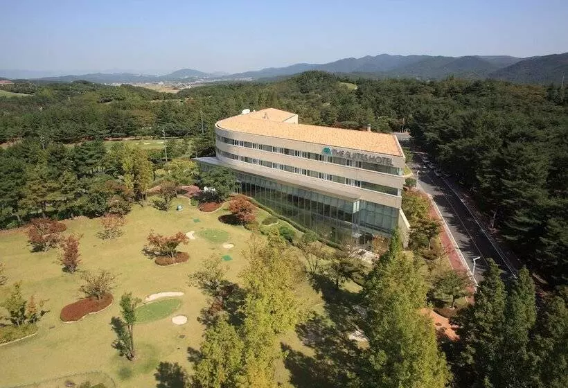 Fotos del hotel The Suites  Gyeongju:  12