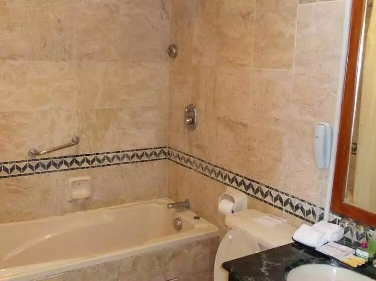 Fotos del hotel Orkid:  6