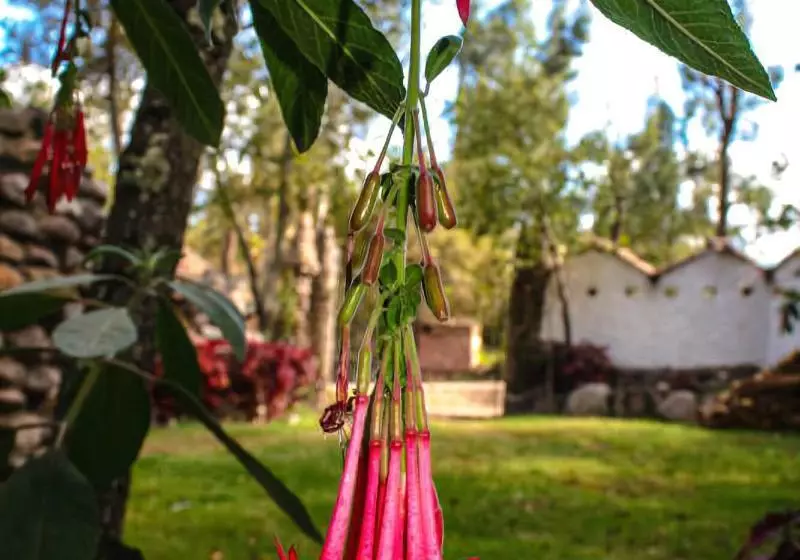 Fotos del hotel Lodge Casa De Campo Valle Sagrado  Urubamba:  11
