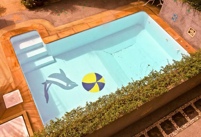 Fotos del hotel Absolute Guest house:  10