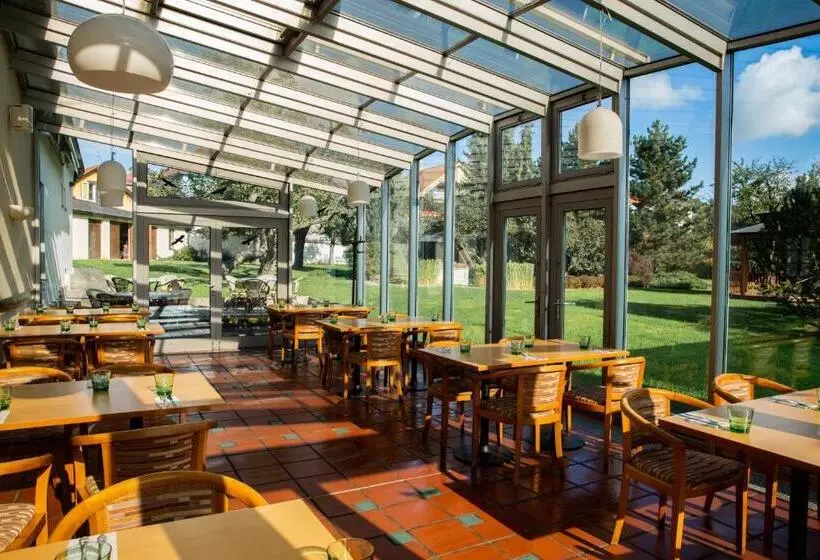 Fotos del hotel Baroko:  13