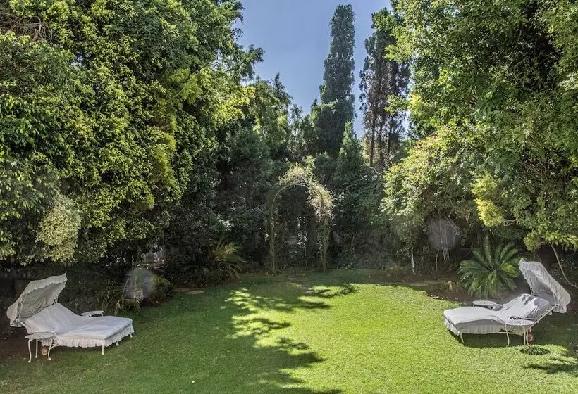 Fotos del hotel Illyria House:  9